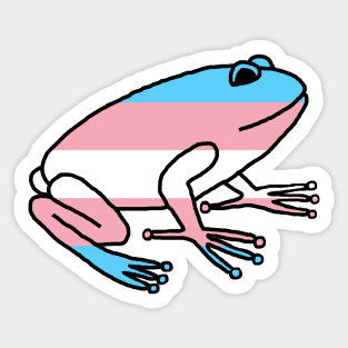 Transgender Pride Flag Frog Sticker